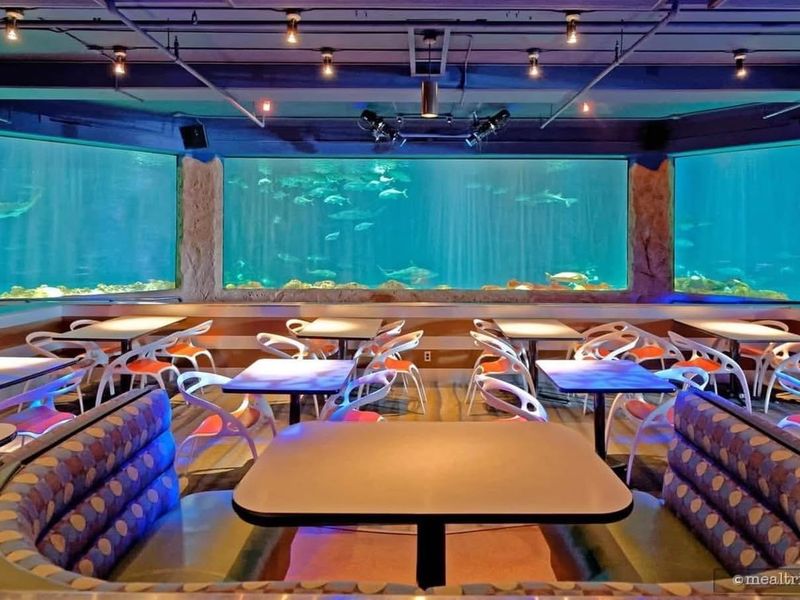8 Florida Restaurants Locals Only Share With Their Inner Circle - Decor Hint Shark's Underwater Grill – Orlando