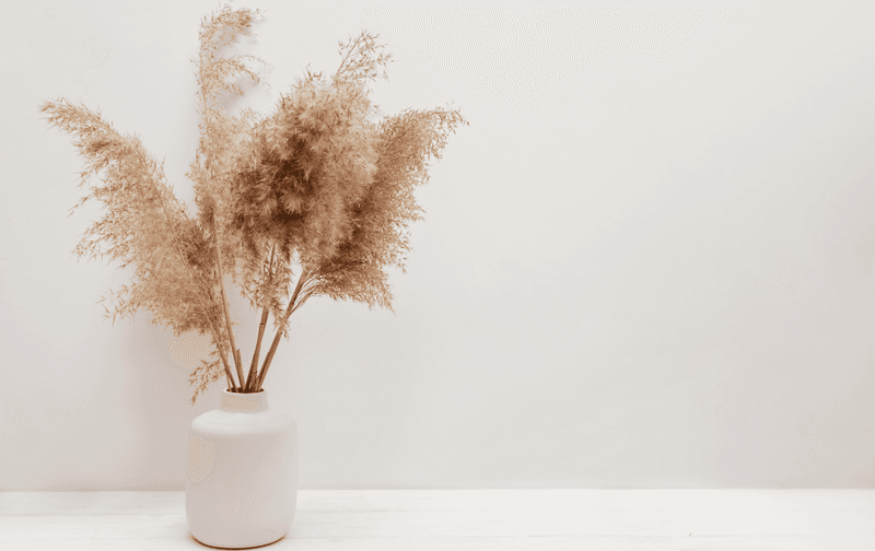 Dried Pampas Grass In Ceramic Jars