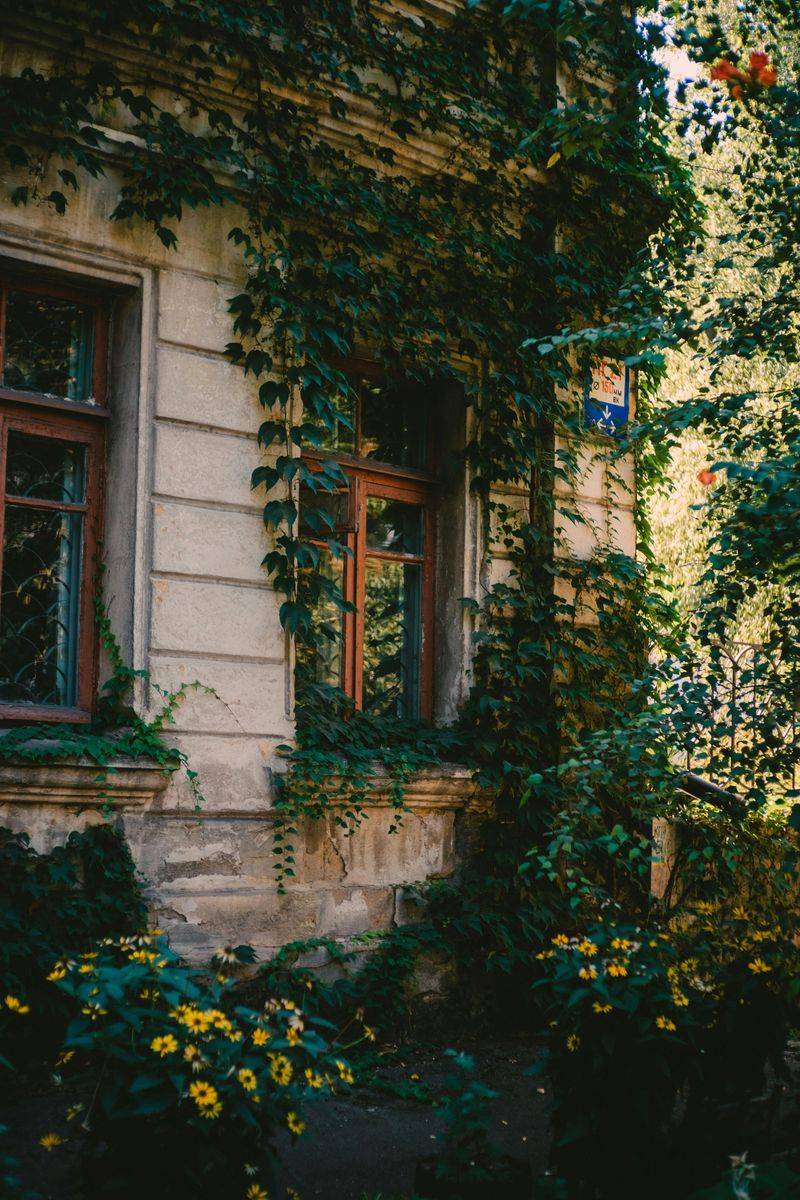 8 Landscaping Mistakes That May Make Buyers Think Twice - Decor Hint Overcrowded Planting Near the Home