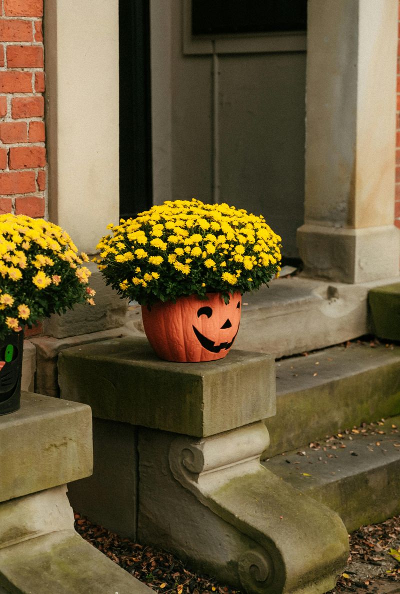 Layered Pumpkin Planters