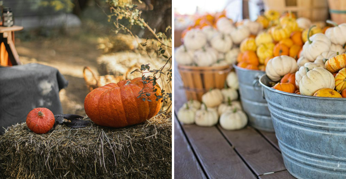 Outdoor Fall Decor Ideas With Plant Pots Porch Signs And More - Decor Hint