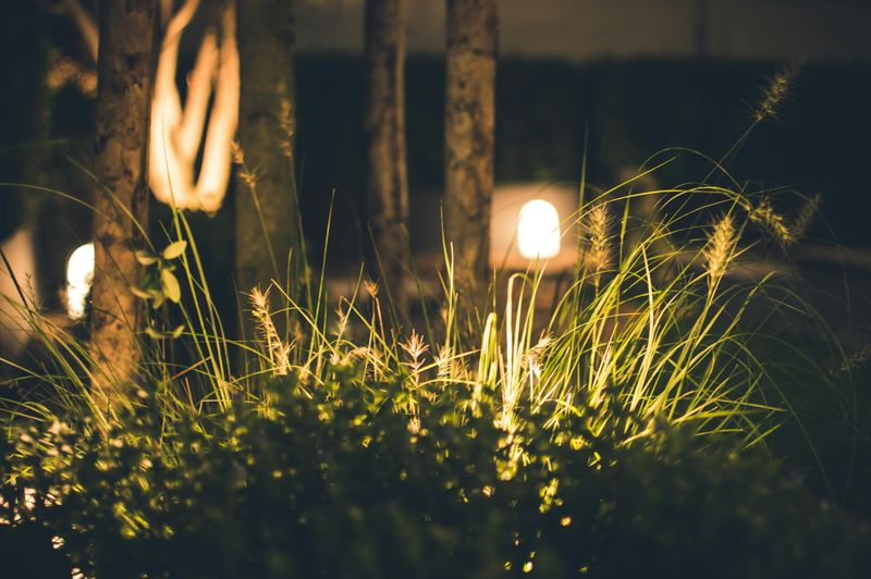 Lighting For Ambiance And Safety