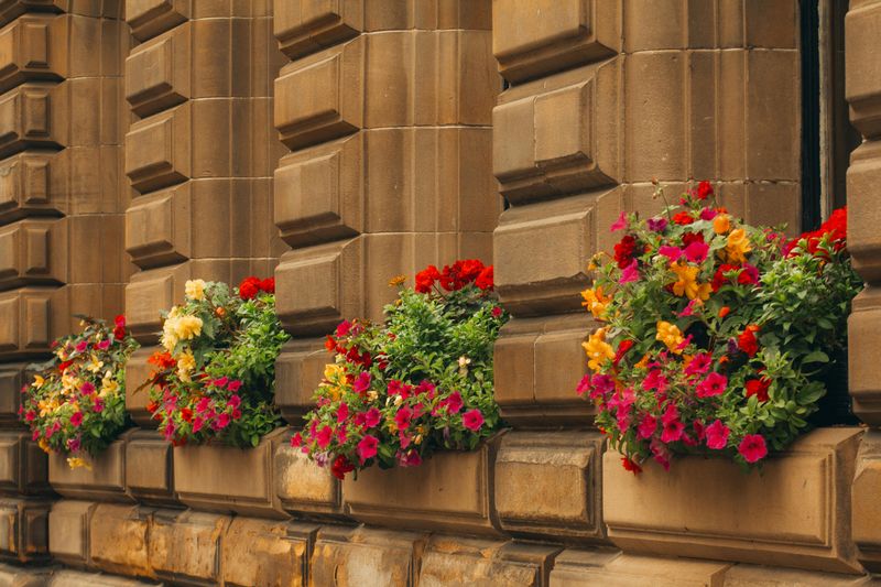Garden Or Planter Boxes