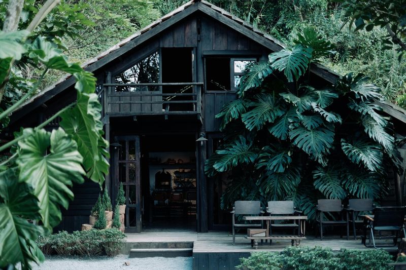 10 Elements That Could Instantly Make Your Backyard Seem Messy - Decor Hint Overgrown Plants