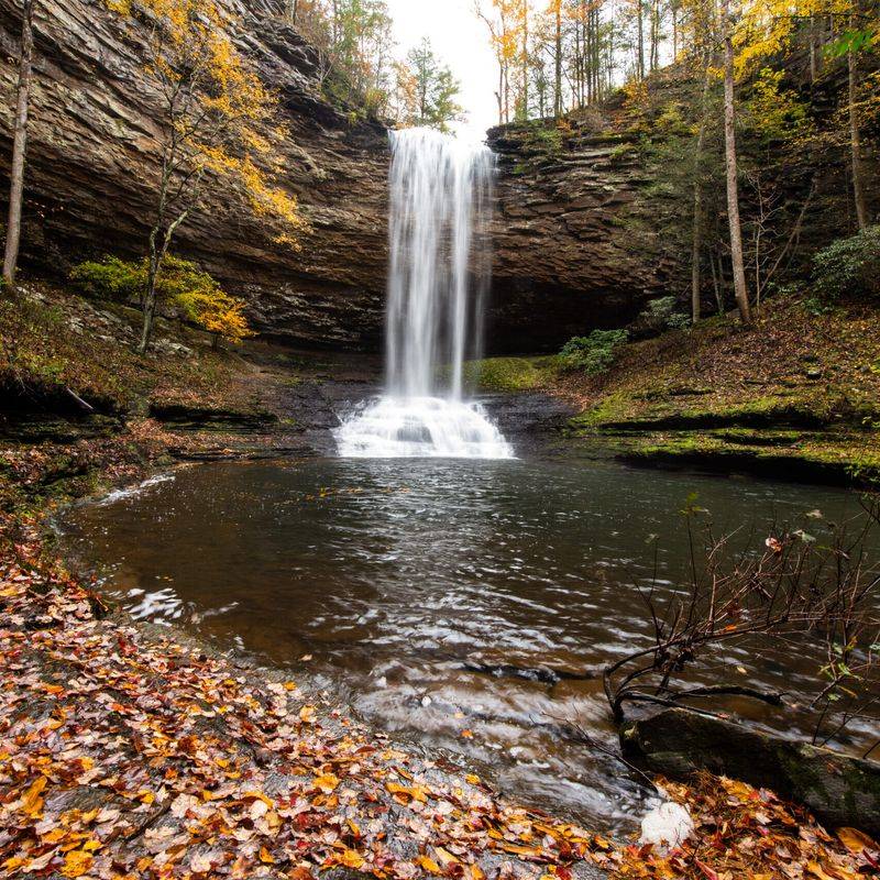 Piney Falls: The Double-Feature Forest Gem