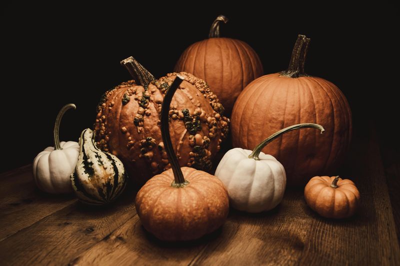 Whitewashed Pumpkin Arrangements