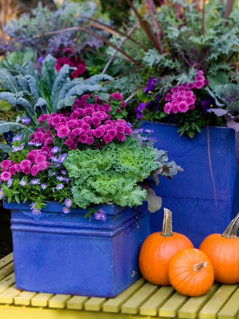 Frost-Resistant Container Gardens