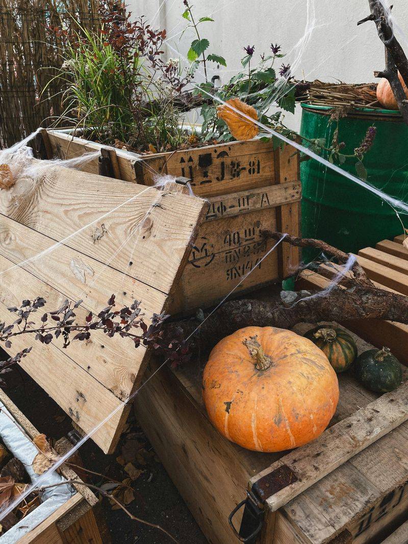 Patio Decorating Ideas That Could Work On A Modest Budget - Decor Hint Creating Seasonal Themes With Low-Cost Décor