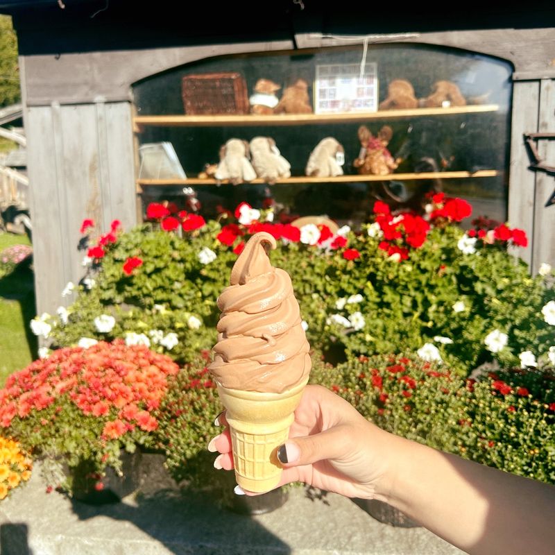 Morse Farm Maple Sugarworks – Montpelier, VT