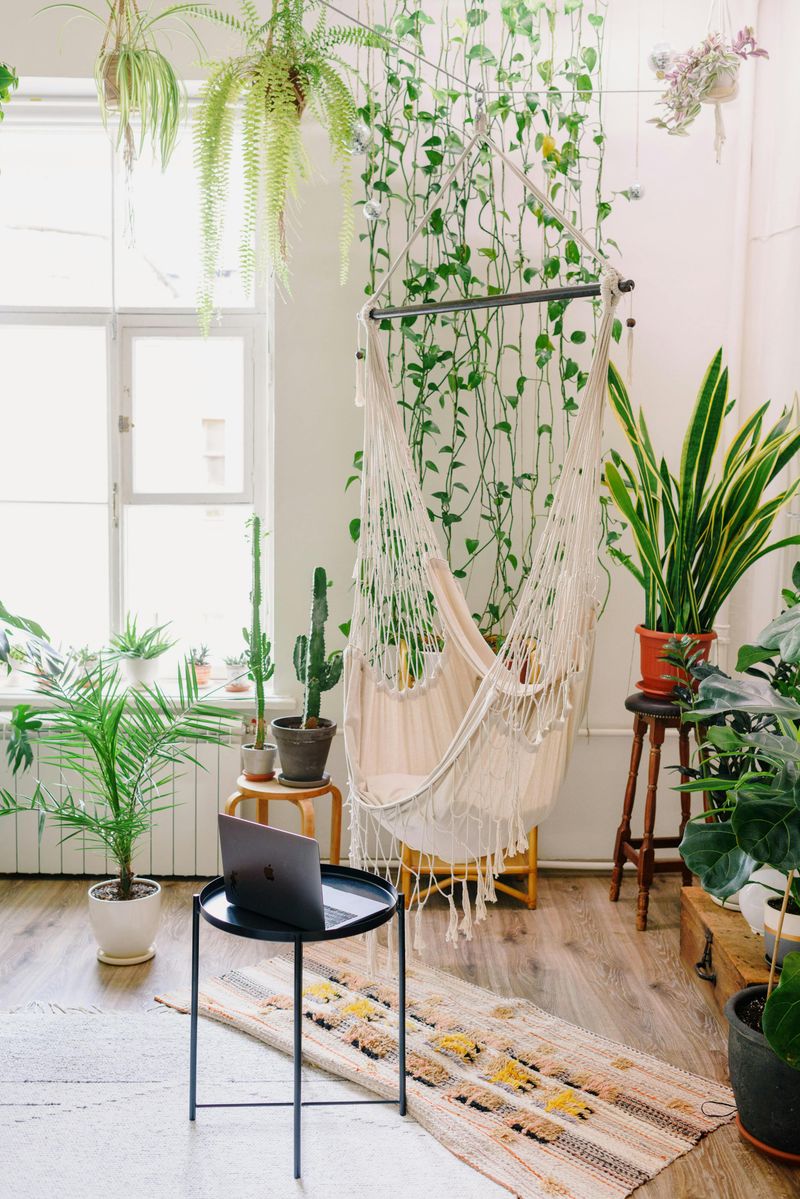 Hammock Chair