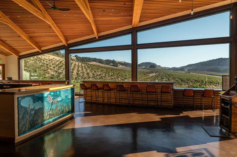 Winery Tours And Tasting Experiences
