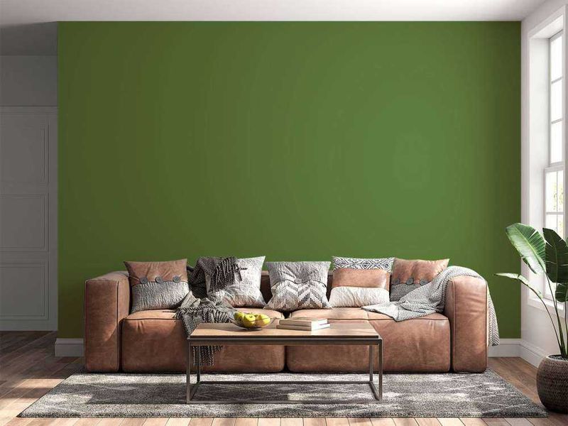 Avocado Green