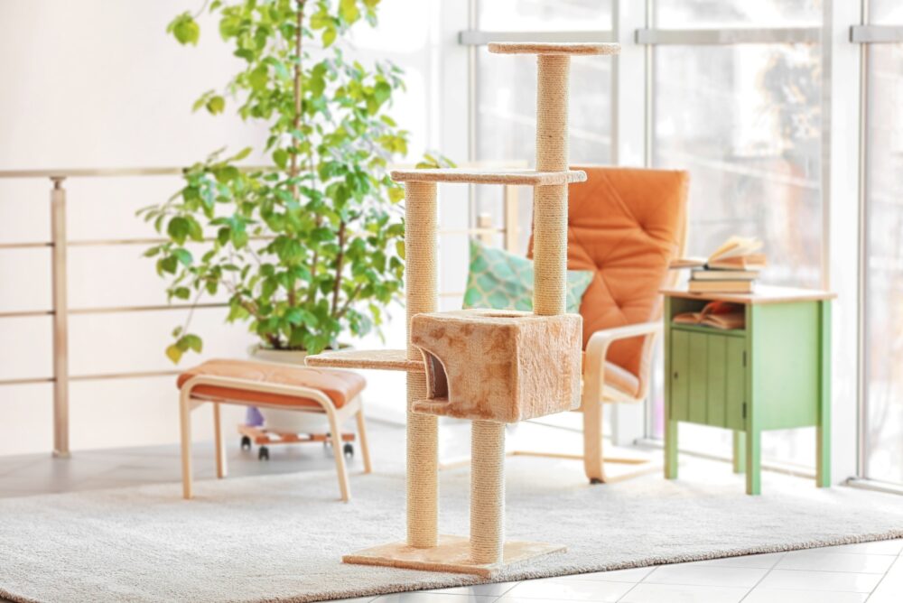 18 Things In Listing Photos That Can Make Buyers Walk Away - Decor Hint Pets Or Pet Messes Visible - Decor Hint