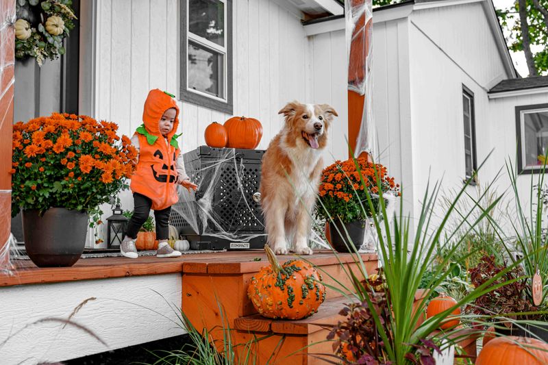 8 Seasonal Porch Swaps That Can Make Homes Feel Fresh Again - Decor Hint Planters With Personality