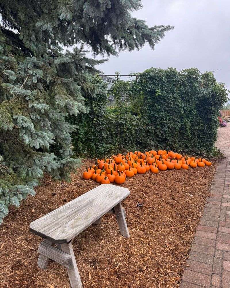 Waldoch Farm Garden Center in Lino Lakes