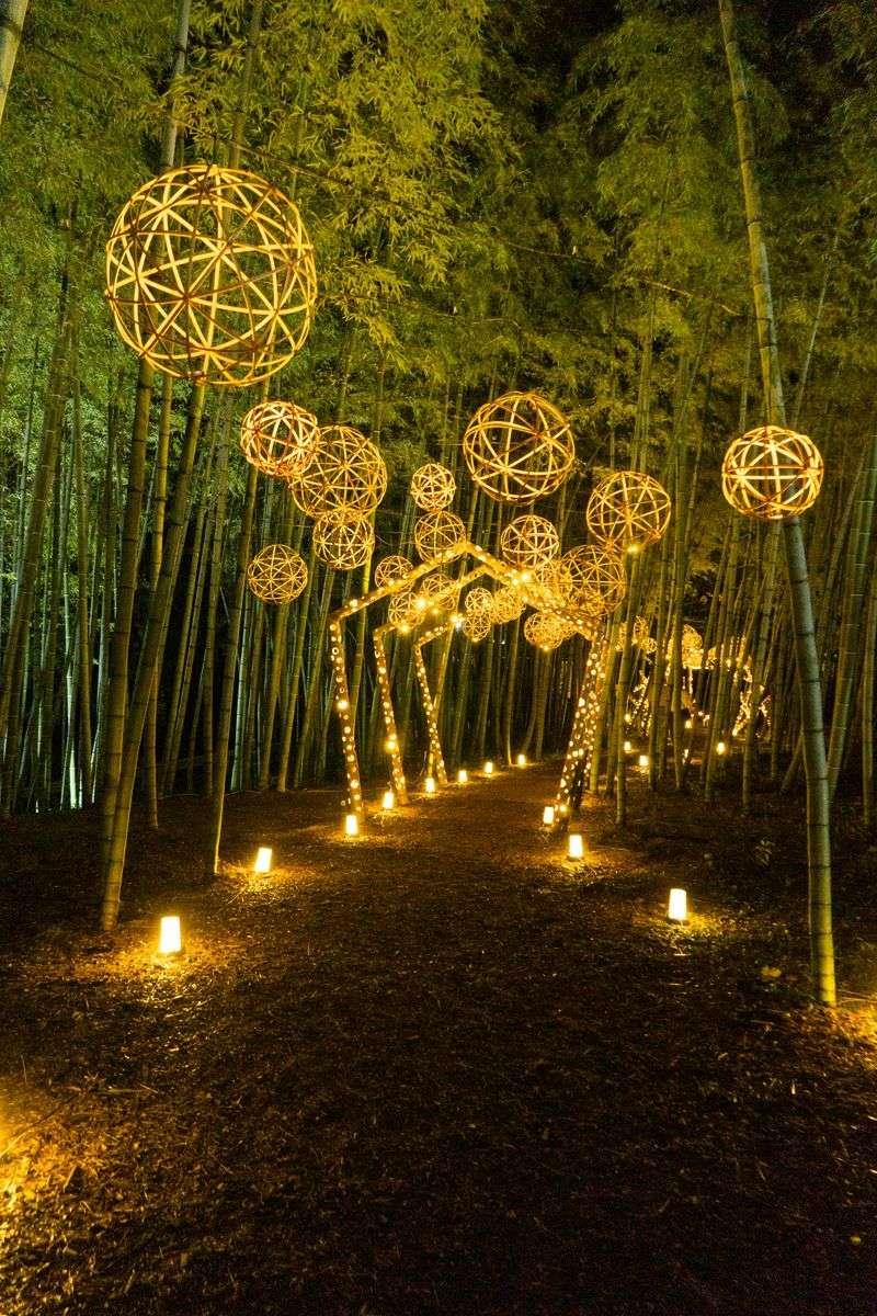 Install Solar Path Lights
