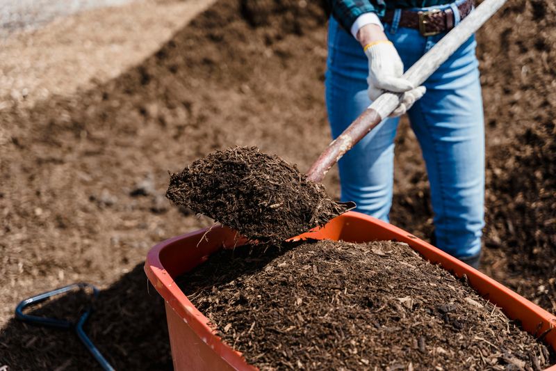Sustainable Gardening Options