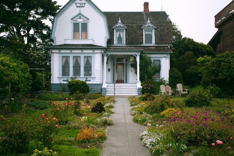 Yard Features That Could Negatively Affect A Home's Appearance - Decor Hint Dead or Diseased Plants
