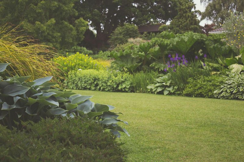 8 Garden Design Choices That Might Cause Problems And How To Address Them - Decor Hint Ignoring Seasonal Visual Appeal