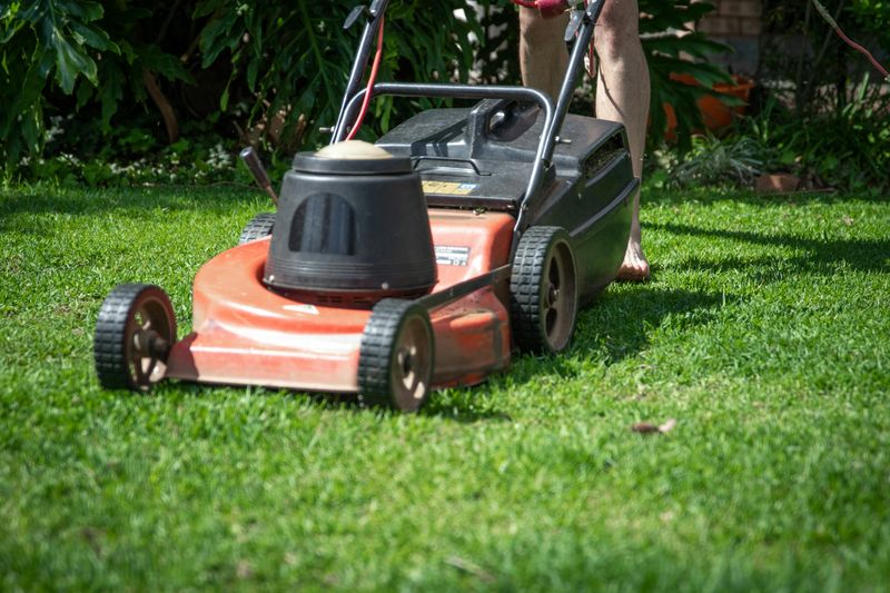 Patchy, Uneven Lawn Mowing
