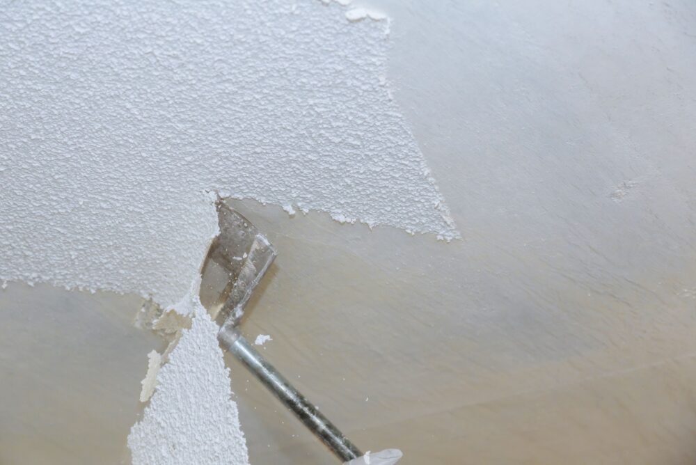 16 Things That Are Quietly Disappearing From American Kitchens - Decor Hint Popcorn Ceilings 1 - Decor Hint