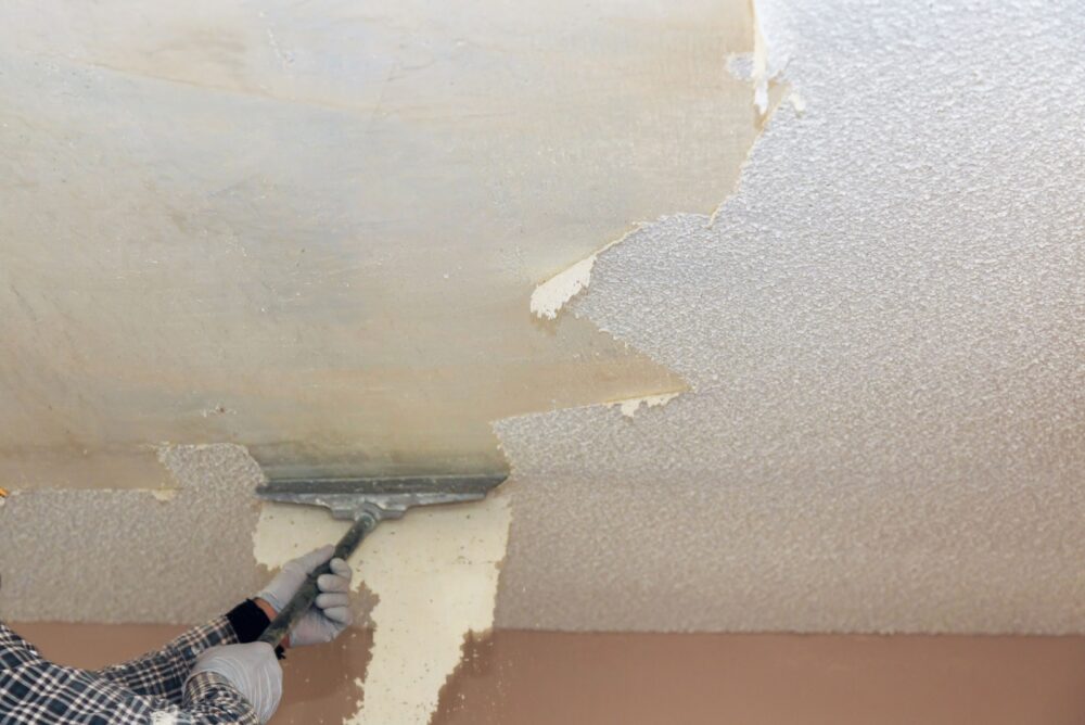 Popcorn Ceilings 2 - Decor Hint