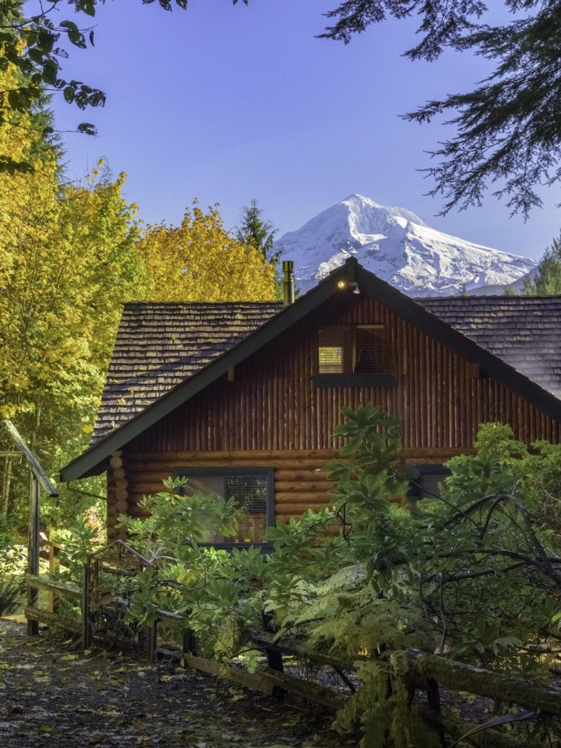 Cozy Up In A Forest Park Cabin Retreat