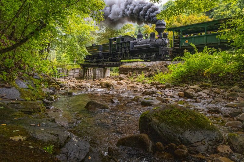 Gandy Dancer Excursion Train