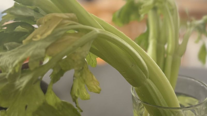 18 Surprising Items In Your New York Fridge That Should've Been Tossed Yesterday - Decor Hint Limp Celery Stalks
