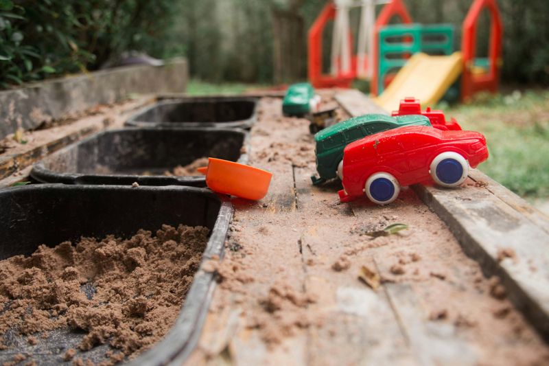 Play Areas For Kids And Pets