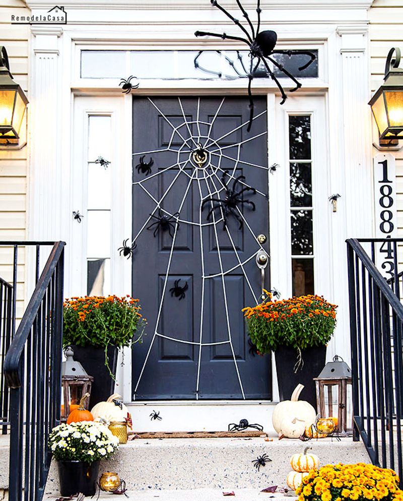 Creepy Crawlers On The Front Door