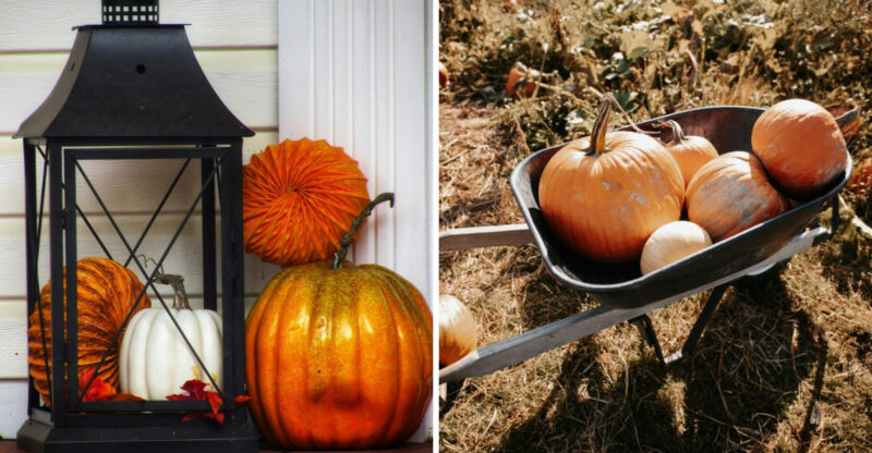 Pumpkin Arrangement Ideas For The Fall Months