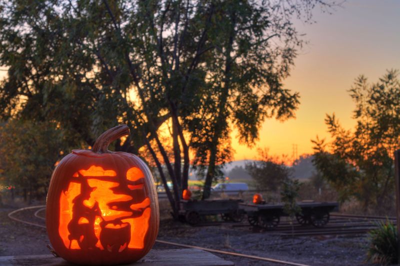 Hollywood Glamour Pumpkins
