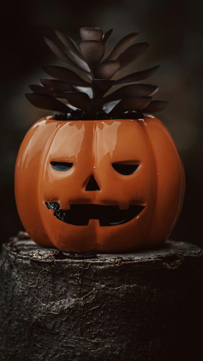 Succulent-Topped Pumpkin Planters
