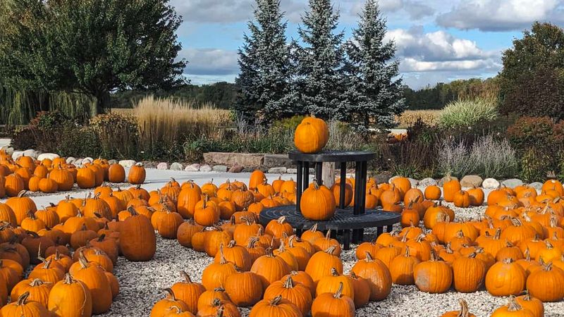 Summit Hill Pumpkin Patch