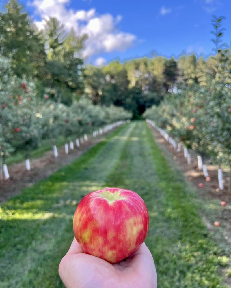 Aamodt's Apple Farm