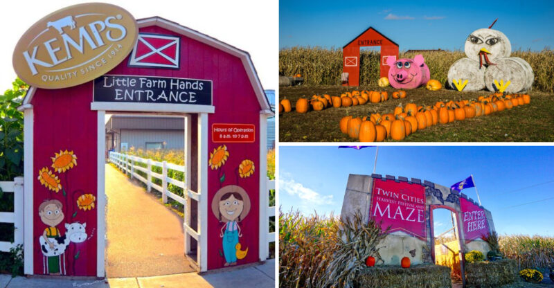 Pumpkin Patches And Autumn Festivals To Explore In Minneapolis