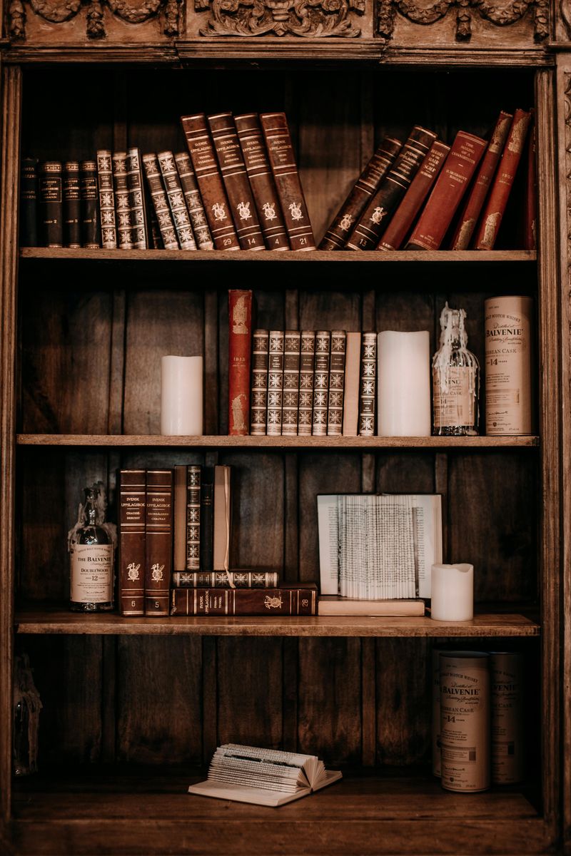Bookshelves With Character