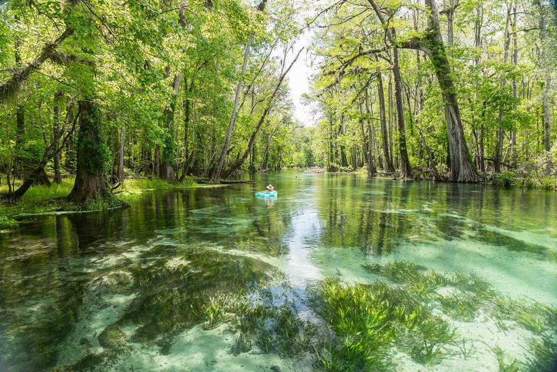 Ichetucknee Springs: The Ultimate Float Trip