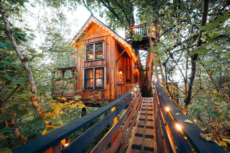 7 Luxurious Mountain Getaways In Washington With Show-Stopping Interiors - Decor Hint Olympic Peninsula Treehouse