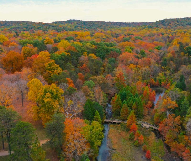 Bernheim Forest - A Colorful Arboretum Adventure
