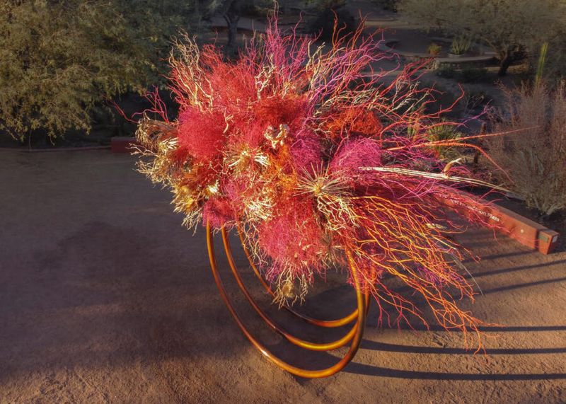 Dried Desert Botanical Arrangements