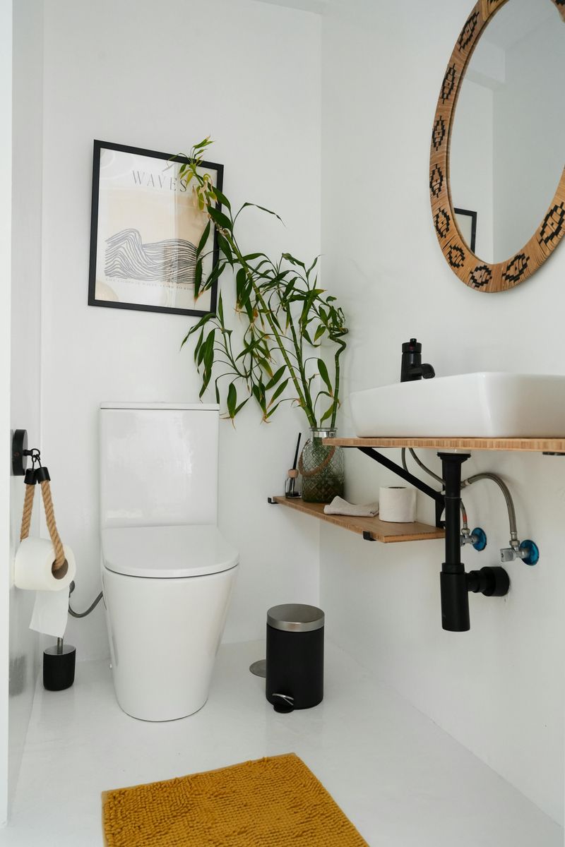 Small Bathroom Updates That May Have A Noticeable Impact - Decor Hint Introduce Plants and Natural Elements