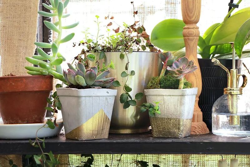Unique Planters & Plant Stands