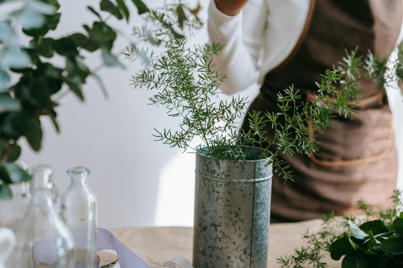 Affordable Decorating Ideas To Consider - Decor Hint Repurposed Container Gardens