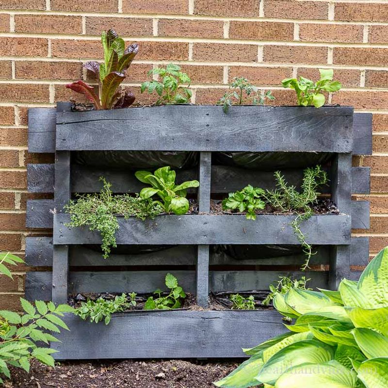 Pallet Wood Planter Wall