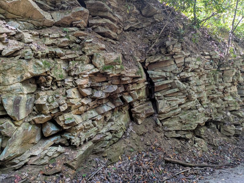 Allegheny Plateau's Frost-Heaved Marvels