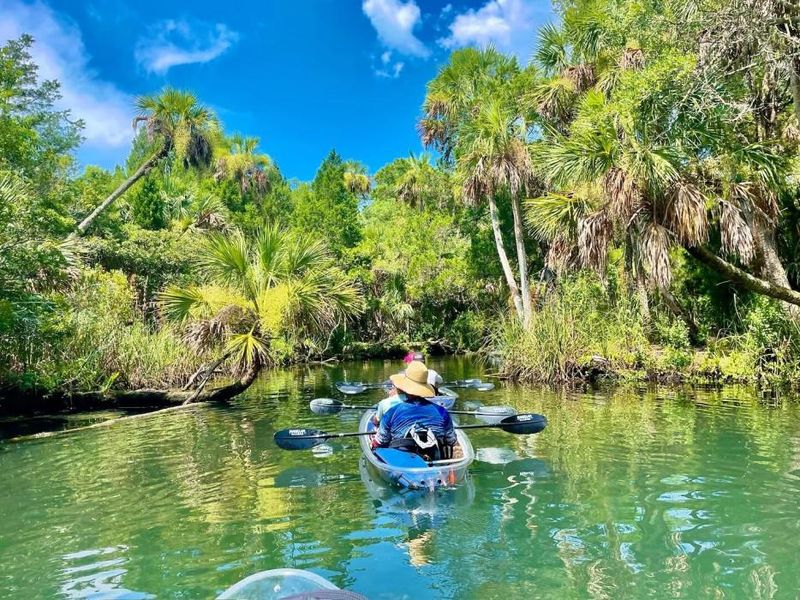 Chassahowitzka River: Hidden Springs Treasure Hunt