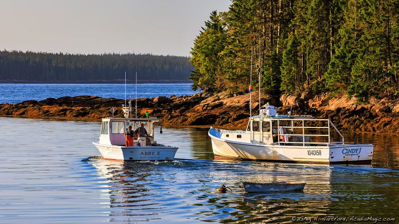 Winter Harbor: Schoodic Peninsula Treasure
