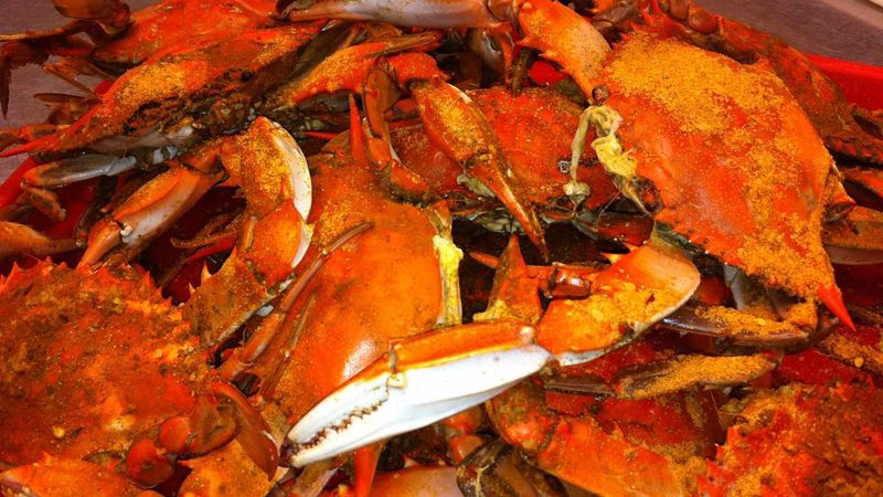 Towson Crab Shack – College Town Favorite